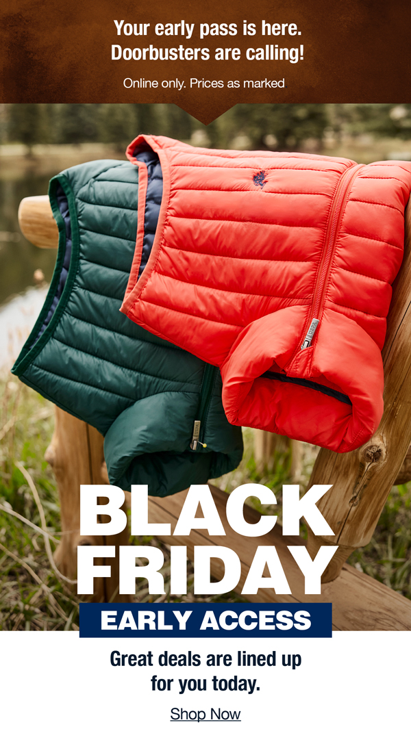 Your early pass is here. Doorbusters are calling! Online only. Prices as marked. Black Friday Early Access! Great deals are lined up for you today. Shop now