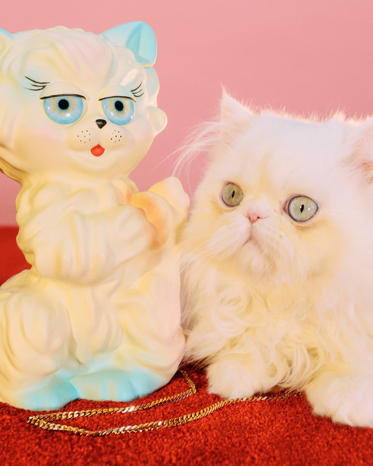 https://www.valentino.com/experience/valentino-garavani-le-chat-de-la-maison