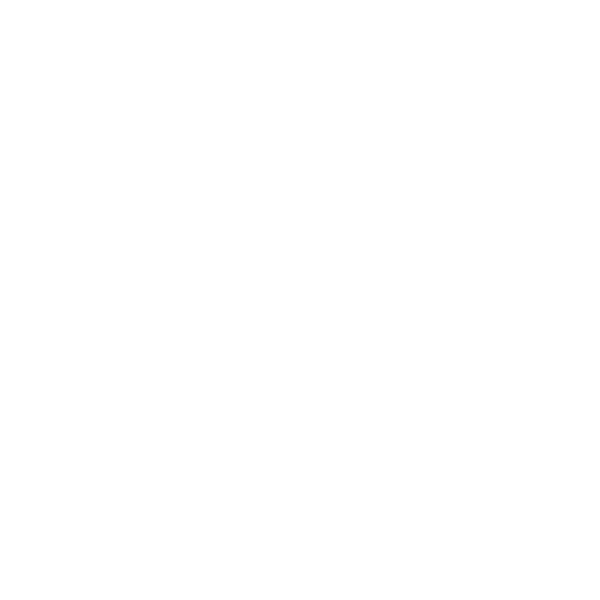 VALENTINO APP