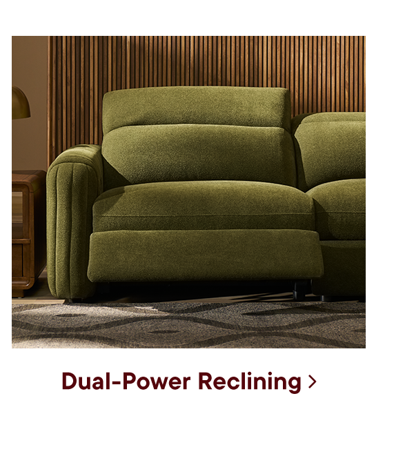 Shop Dual Power Reclining