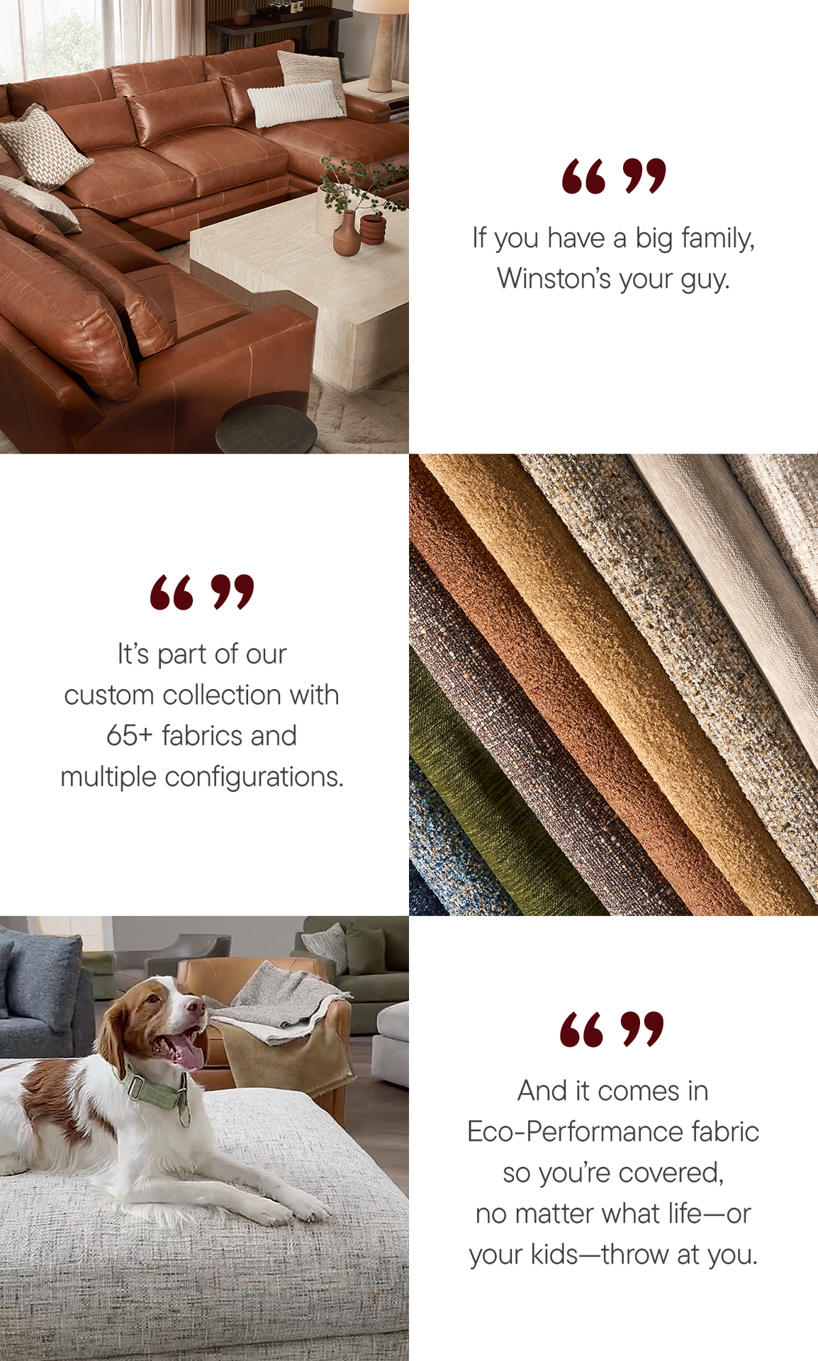 Shop Winston Collection