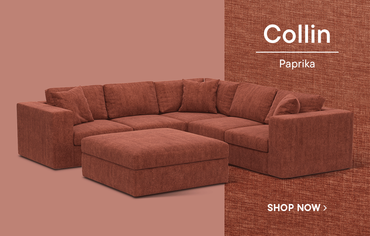 Shop Collin