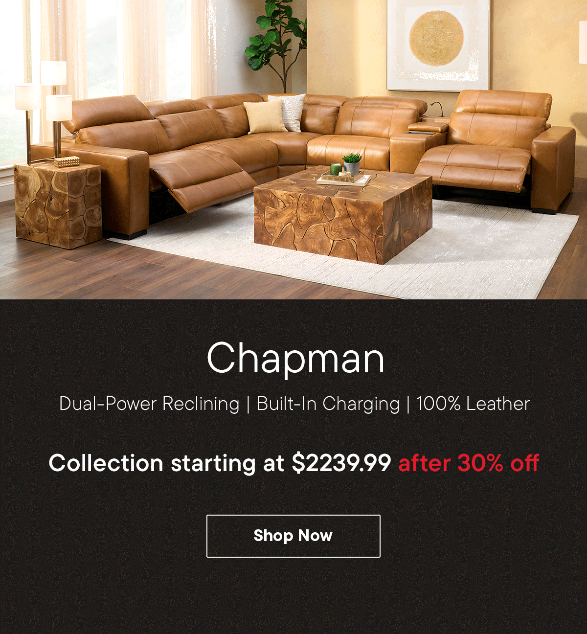 Shop Chapman Collection