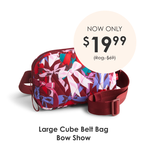 Shop Large Cube Belt Bag