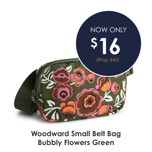 Shop Woodward Small Belt Bag