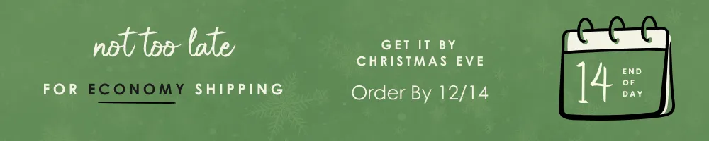 Get in time for Christmas | Economy ground shipping order by end of day on 12/14.