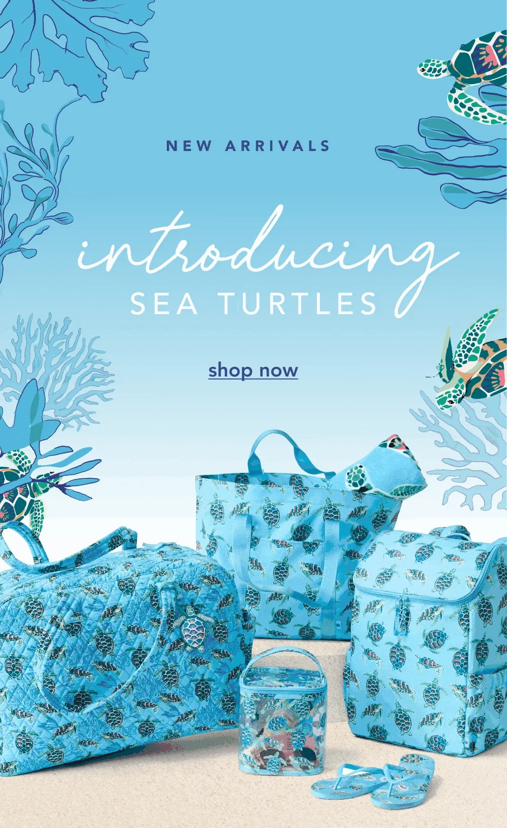 Shop Sea Turtles
