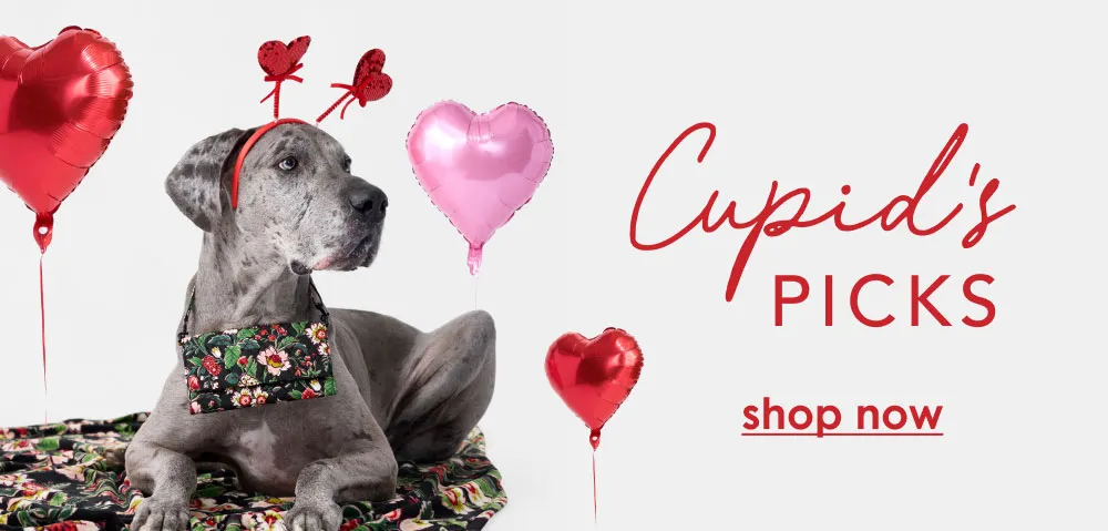 Cupid's Picks | Shop Valentine's Day Collection