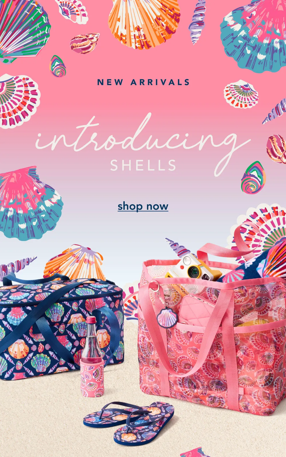 New Arrivals | Introducing Shells