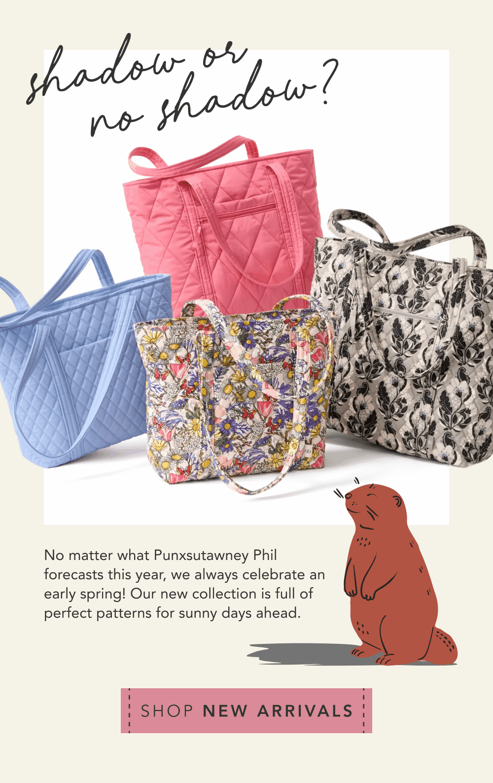 Shadow or No Shadow. we always celebrate an early spring!