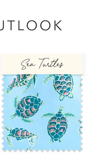 Shop Sea Turtles