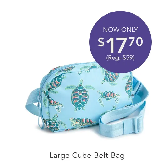 Shop Large Cube Belt Bag
