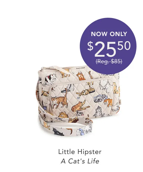 Shop Little Hipster
