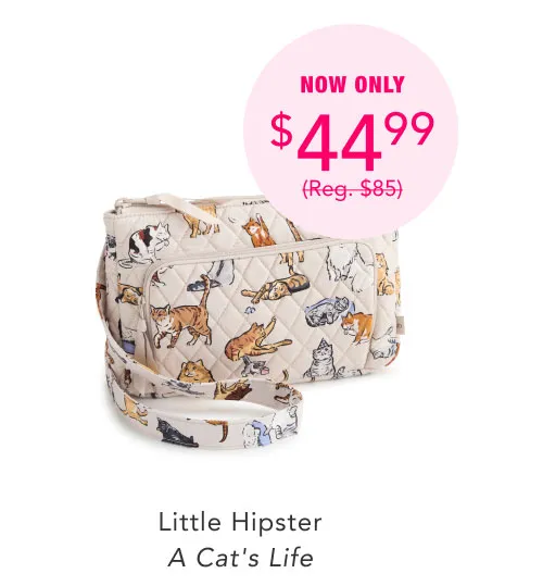 Shop Little Hipster
