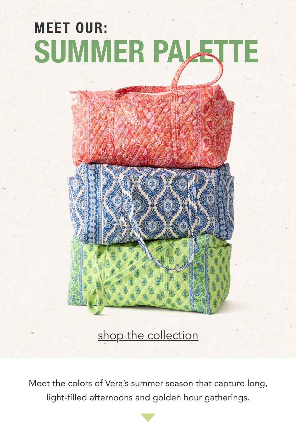 Shop The Collection