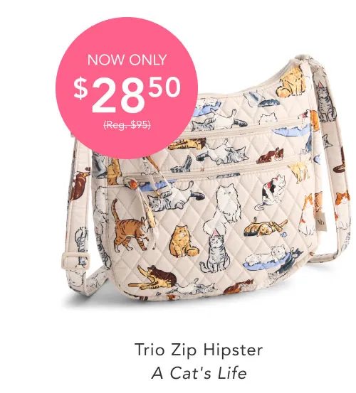 Shop Trio Zip Hipster