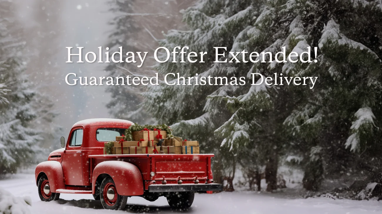 Order by December 14th for Christmas Delivery