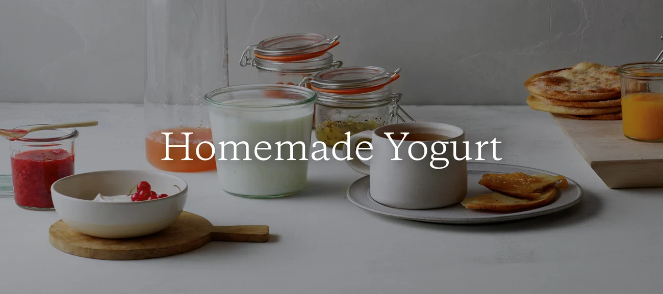 Homemade Yogurt