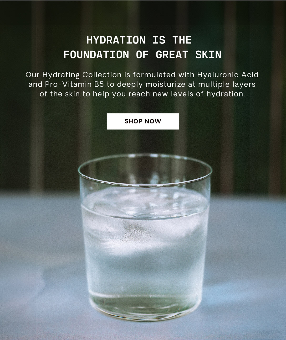 HydrationCollection_ShopNow