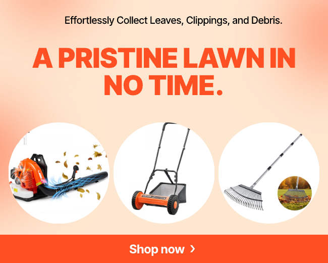 A Pristine Lawn in No Time.