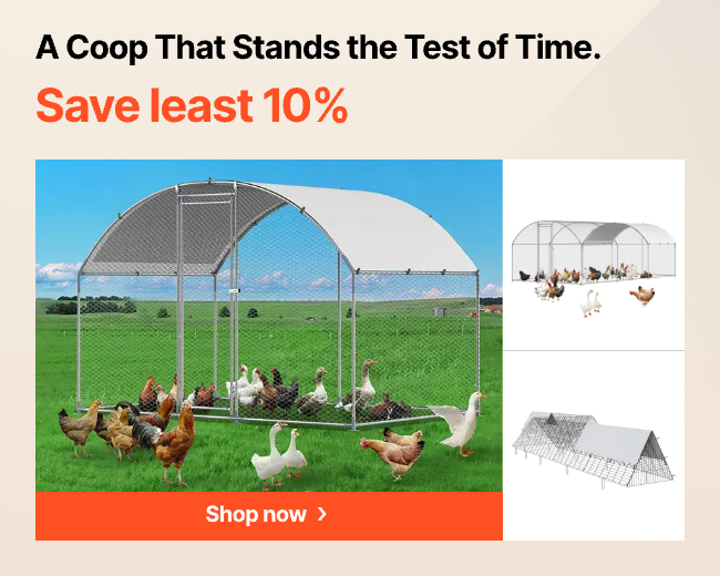 Save least 10%