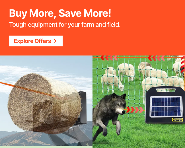 Buy More, Save More!