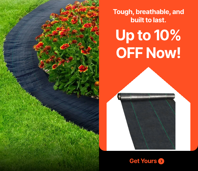 Up to 10% OFF Now!