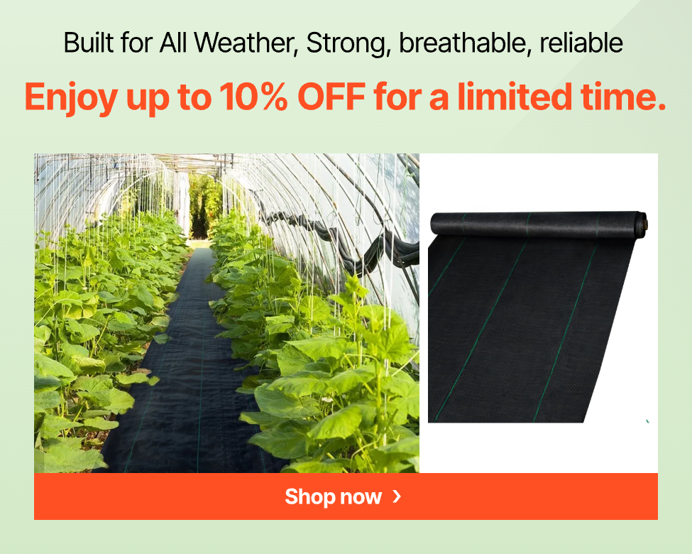 Enjoy up to 10% OFF for a limited time.