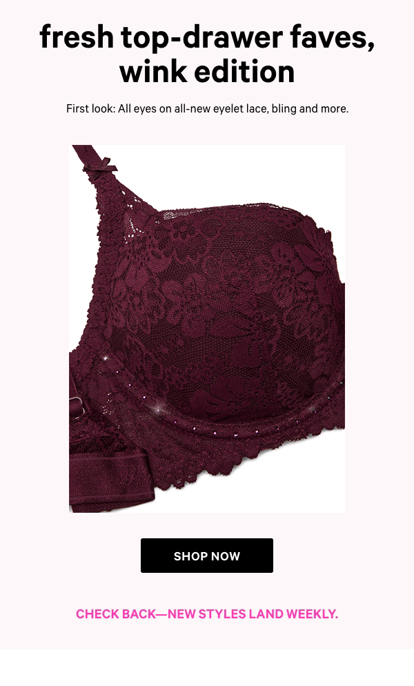 Shop Now 