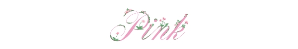 PINK Victoria's Secret