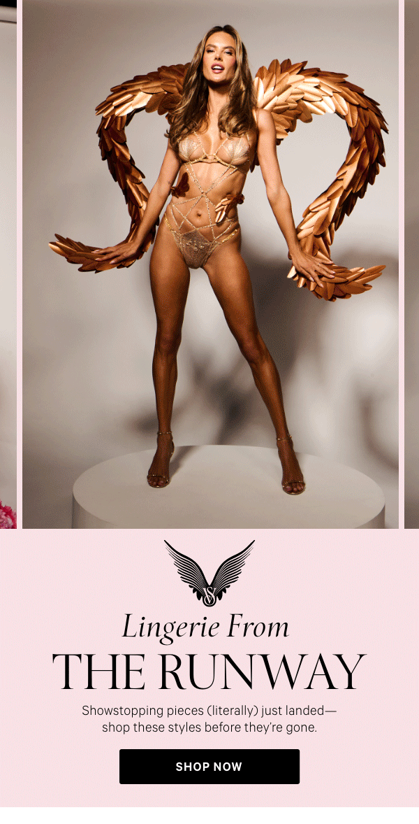 [VSFS Lock-Up]  Lingerie From The Runway  Showstopping pieces (literally) just landed—shop these styles before they're gone.   Shop Now >