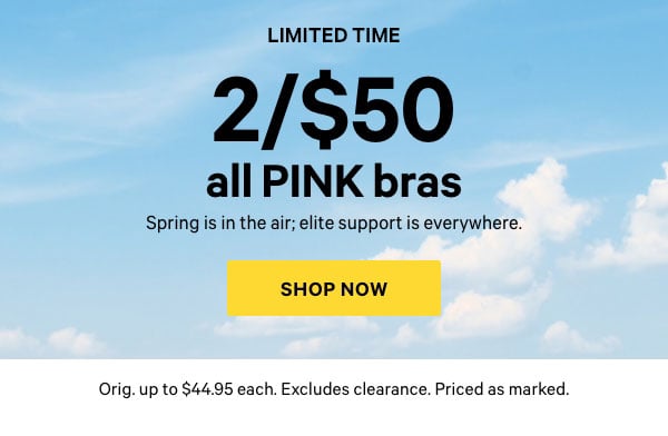 Shop Now.