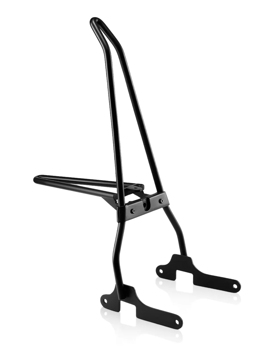 Image of Iron Born Sissy Bar with Foldable Luggage Rack for Harley Sportster 883 Iron XL883N Matte Black