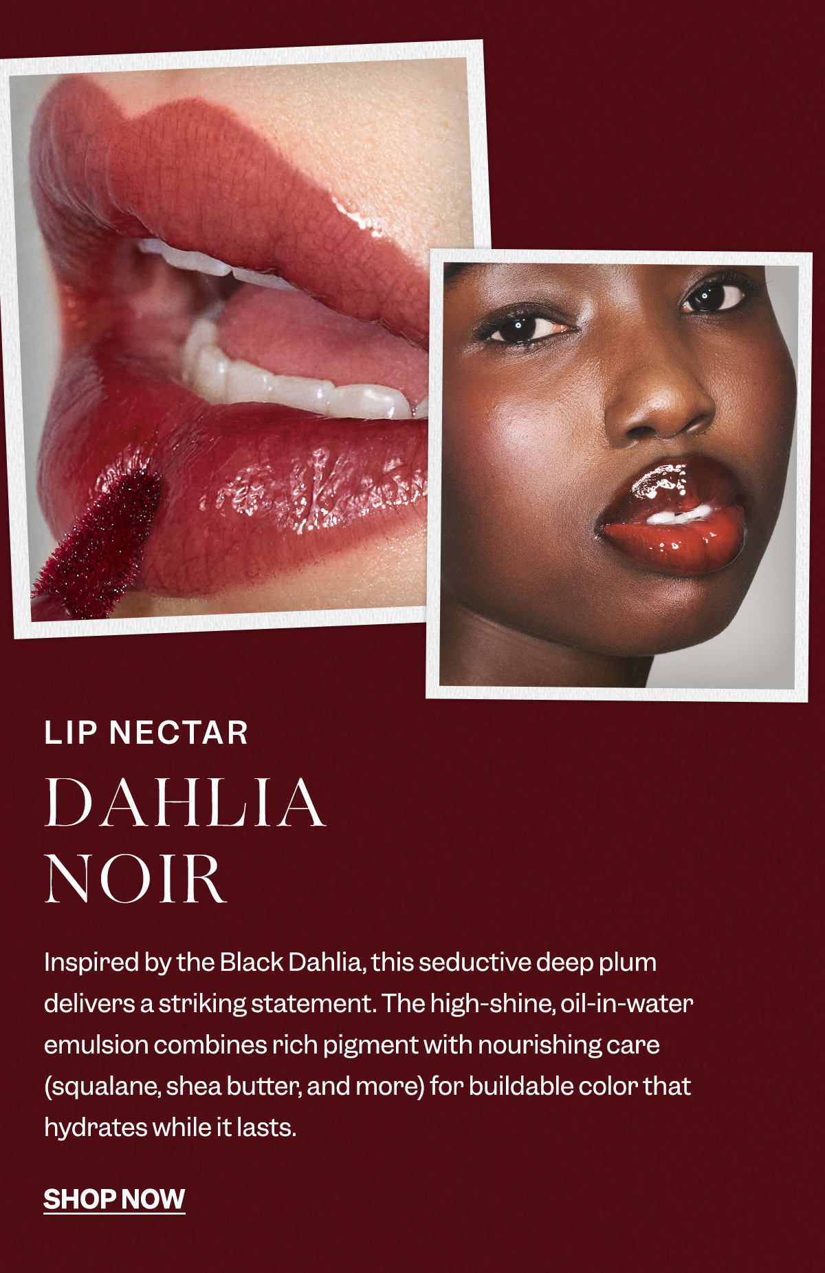 Inspired by the Black Dahlia, this seductive deep plum delivers a striking statement. The high-shine, oil-in-water emulsion combines rich pigment with nourishing care (squalane, shea butter, and more) for buildable color that hydrates while it lasts. 