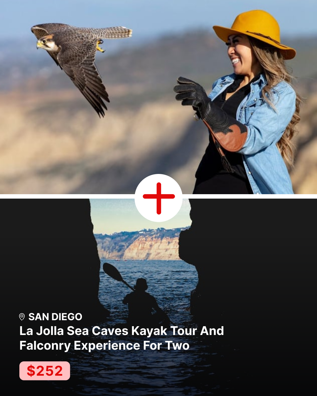 La Jolla Sea Caves Kayak Tour and Falconry Experience for Two