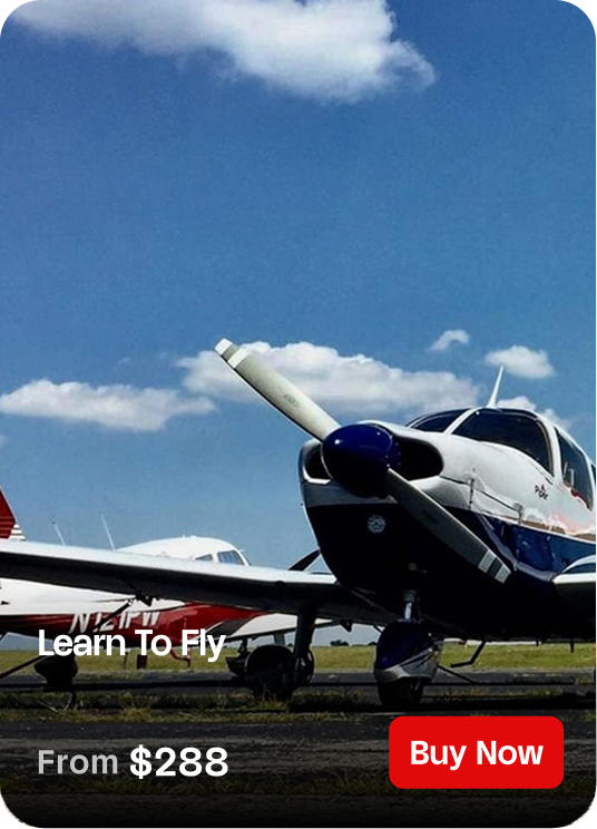 Learn to Fly