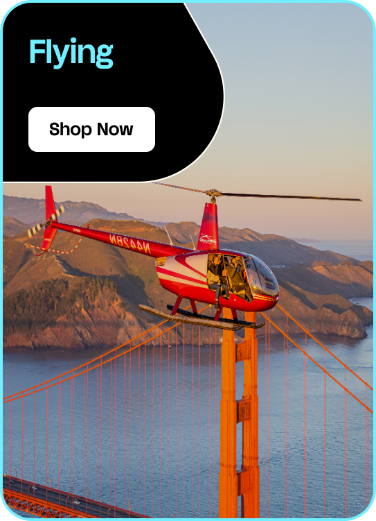 Cyber Monday - Flying