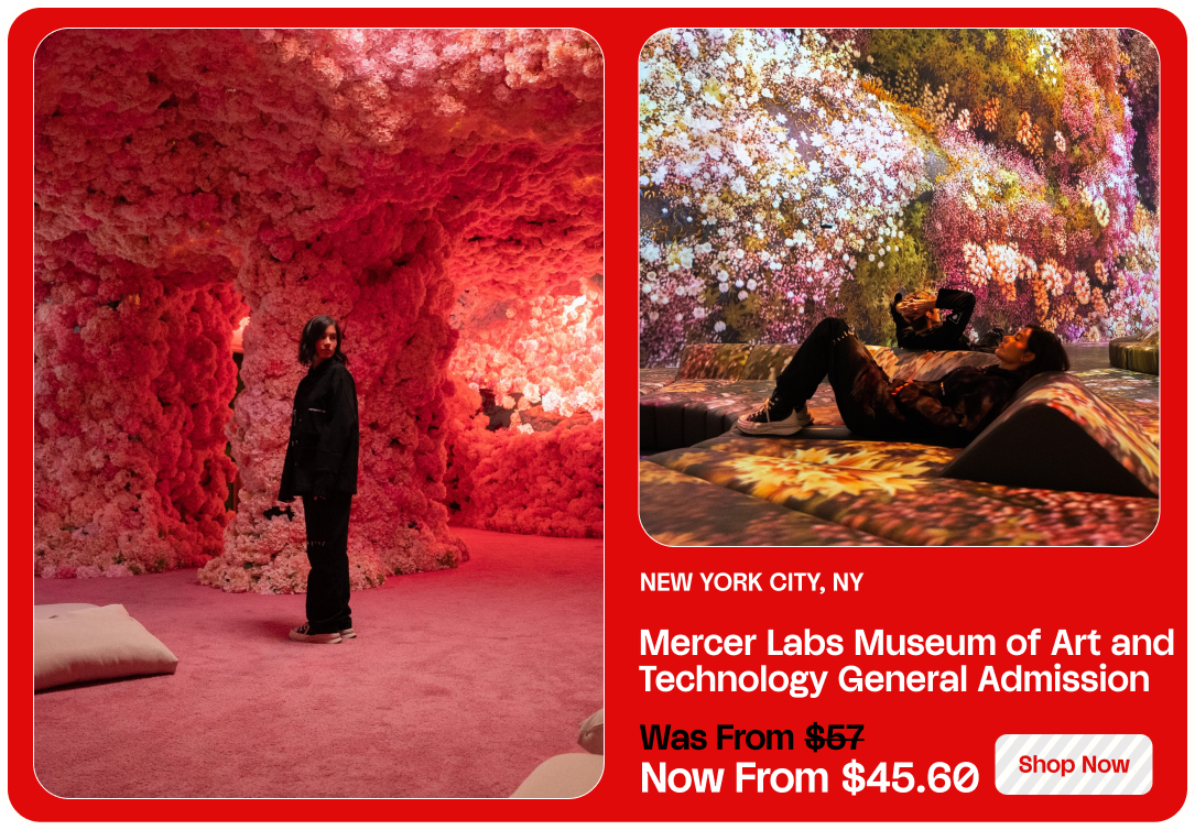 Mercer Labs Museum of Art and Technology General Admission