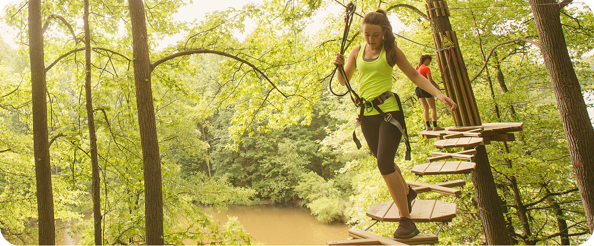 Treetop Adventure with Go Ape