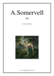 Sarabande for violin and piano
