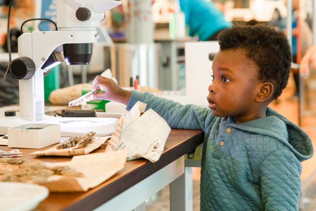 A young African American boy places a specimen under a microscope