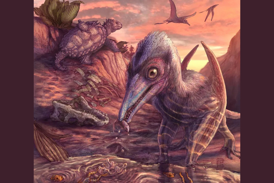 an illustration of a pterosaur with turtles and other fossil animals