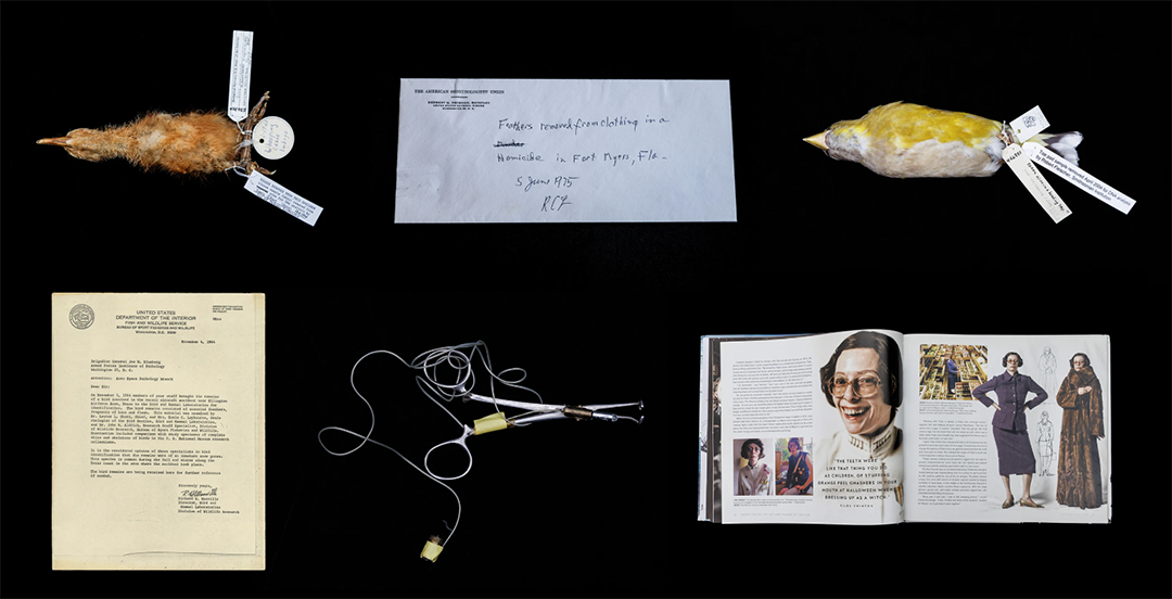 Artifacts related to forensic ornithologist Roxie Laybourne, including bird specimens, forensic tools, documents, and a magazine spread.