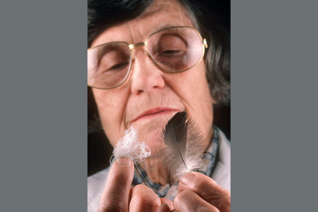 Close-up photo of the face of a woman examining a feather