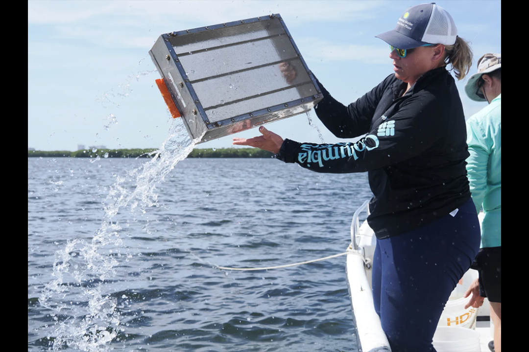 A woman holds a sieve over the side of a boat and drains water through it