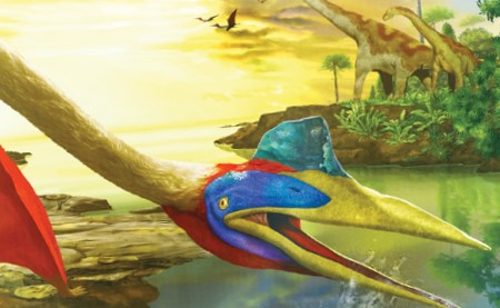 Texas Science & Natural History Museum in Austin