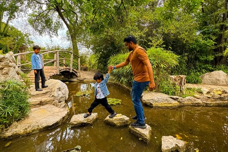A man and two children step on rocks in a creek at Zilker Botanical Garden in Austin, Texas