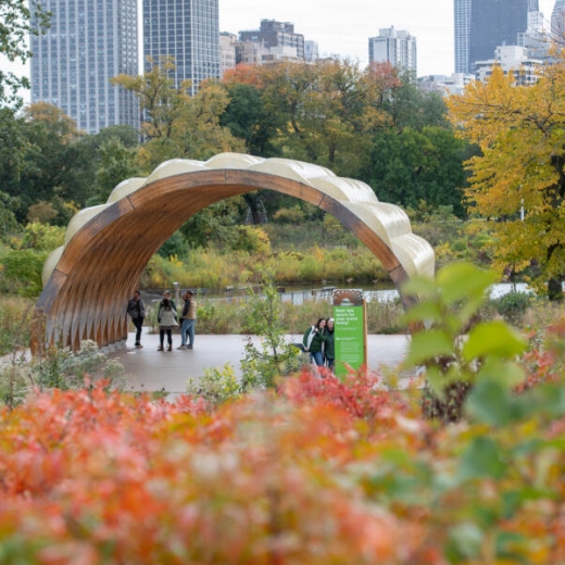 Visitors admire fiery fall foliage from beneath the wooden Honeycomb pavilion in Chicago's Lincoln Park