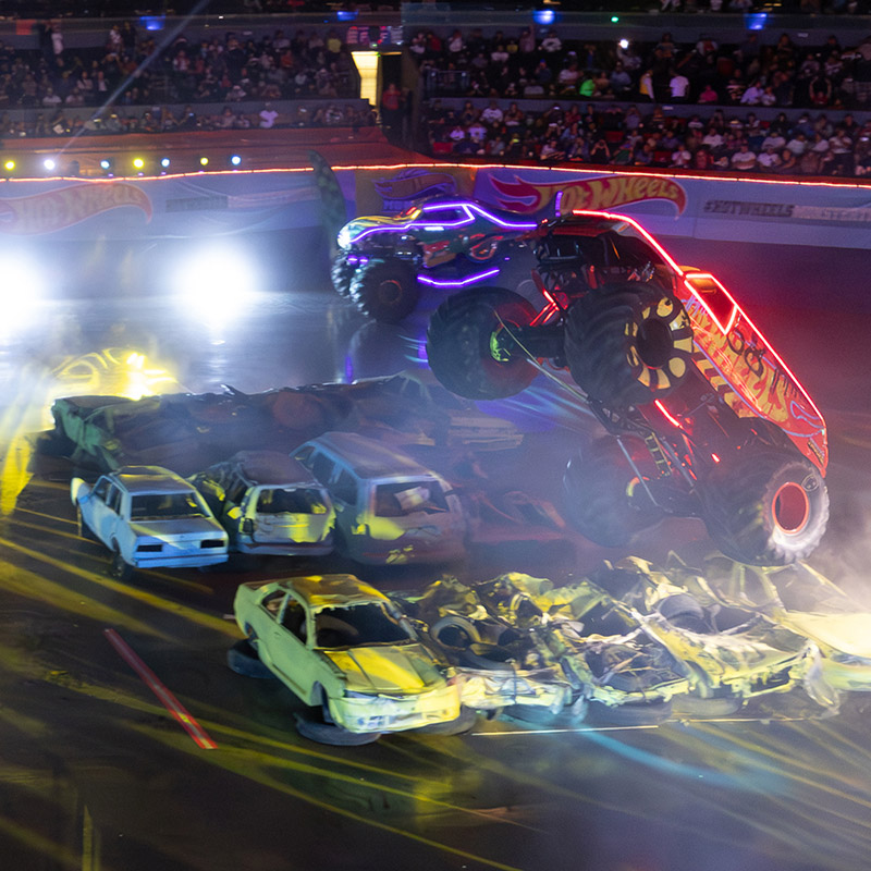 Image of Hot Wheels Monster Trucks Live.