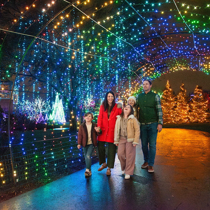 Holiday Lights Displays in Columbus